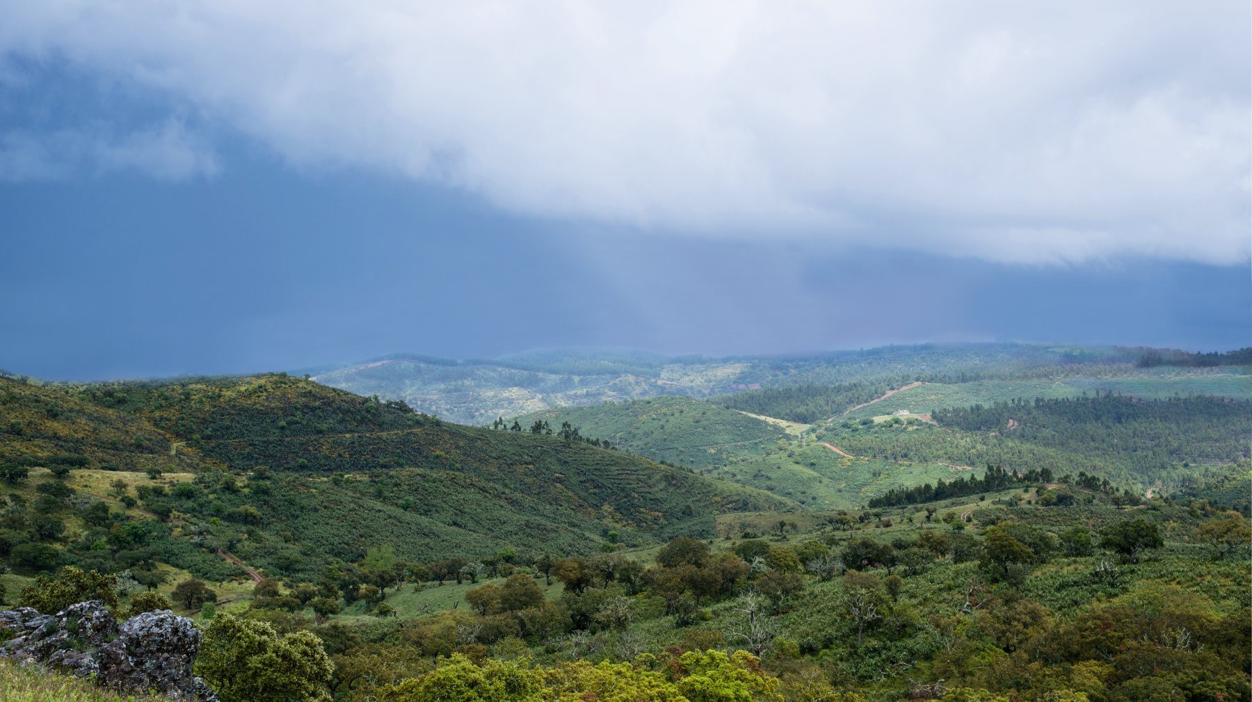 Herdade Aldeia de Cima